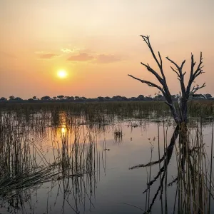 Okavango Delta Sunset Print, Botswana Okavango Delta Sunset Print, Botswana