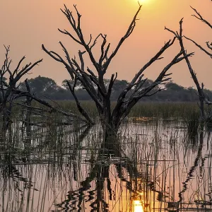 Thamalakane River Sunset Print, Okavango Delta, Botswana Thamalakane River Sunset Print, Okavango Delta, Botswana