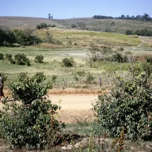 Touristischer Besucher geht im Freien, Fazenda Sant Anna, Campinas, Brasilien, Südamerika 1962.