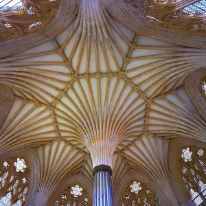 Interior Vaulted Roof Print of Wells Cathedral Chapter House Interior Vaulted Roof Print of Wells Cathedral Chapter House