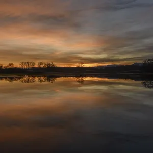 Winter Sunset Print: Trees Reflecting in Bas-Rhin, France Winter Sunset Print: Trees Reflecting in Bas-Rhin, France