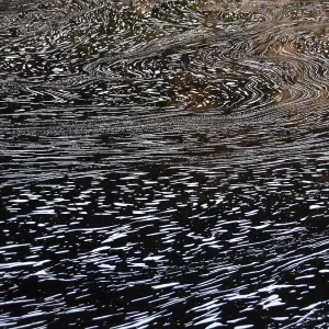 Typical Foam Structures Print, Blackwater River, Brazil Typical Foam Structures Print, Blackwater River, Brazil