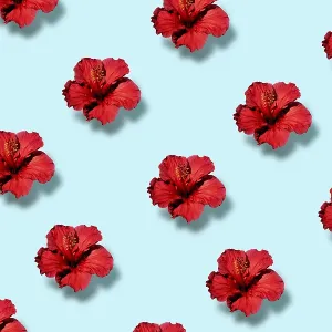 Trendy Pop Art Hibiscus Flower Print Trendy Pop Art Hibiscus Flower Print