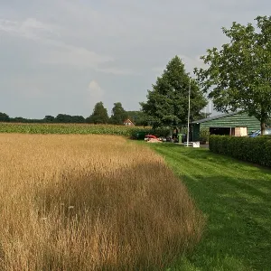 August Drucke: 12. August 2006