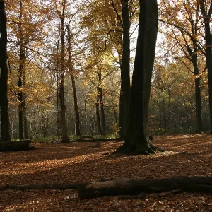 November Drucke: 9. November 2003
