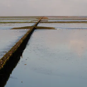 7. August 2011