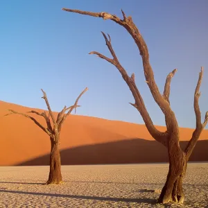 Landschaft