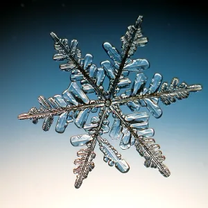 Snowflake Snowflake