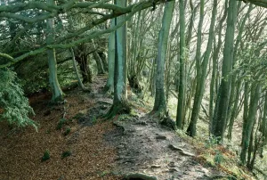 Offas-Dyke, Gloucestershire K 920276