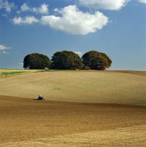Entdecken Sie Südwestengland: Küste, Landschaft und Reisen: Die Ridgeweg K 930754