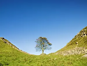 Hadrianswall 06/07/20