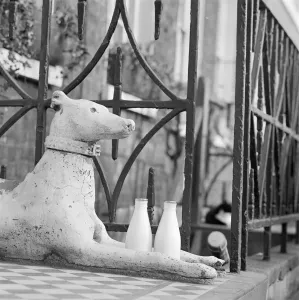 Bildhauerei Drucke: Steingraugrundhund a071577