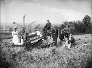 Fotos Von Edwardian England Drucke: Ernte AA97_05926
