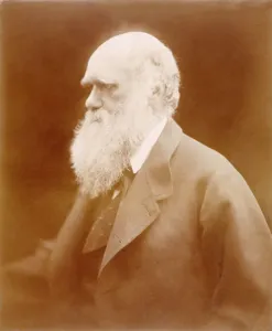 Kent Drucke: Karl Darwin 980352
