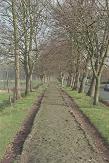 Erhöhte Dammstrecke