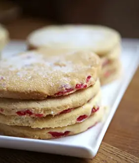 Kürbiskuchen N100356