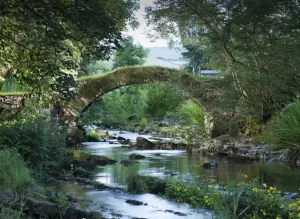 Brücken – Flussüberquerungen und Ingenieurbauwerke: Pferdebrücke DP169857