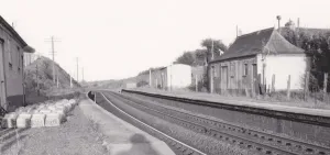 Bittaford-Plattform Drucke: Bittaford-Plattform in Devon um 1960