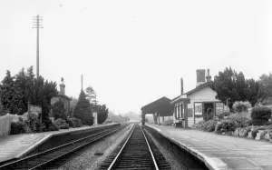 Drucke von Ein Blick auf das verlassene Adlestrop Bahnhof im Gloucestershire Juli 1958 Bahnhöfe Der GWR Und Angeschlossener Unternehmen Drucke: Adepslorp Bahnhof, Gloucestershire, Juli 1958