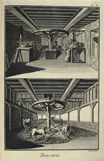 Denis Diderot Art Drucke: 0 0