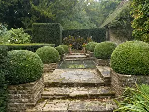 Formal Garden Design Drucke: 1 Date