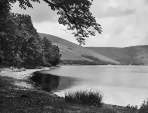 Peaceful Lake Scene Drucke: 10185379
