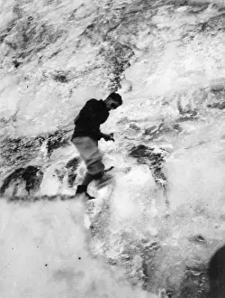 Black And White Winter Photos Drucke: 10190287