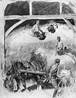 Rural Life Drucke: -