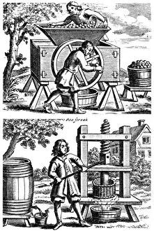 Food And Drink History Drucke: 1678 Cider Mill