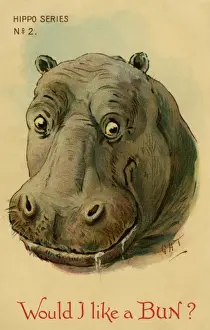 Hippo