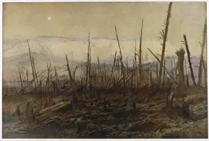 First World War Battlefields Drucke: 1917 / Craonne Cliff