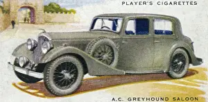 AC-Griechenhund