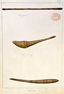 Thomas Watling Collection Drucke: Aboriginal weapons and implements