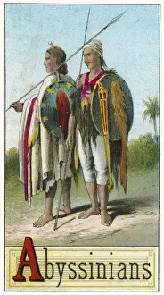 Abyssinian couple