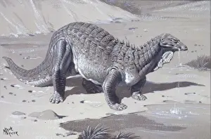 Armoured Dinosaurs Drucke: Acanthopholis