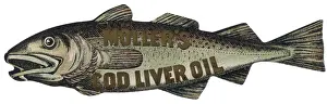 Codliverölwerbung