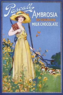 Early 20th Century Food Ads Drucke: Advert / Devonshire Choc