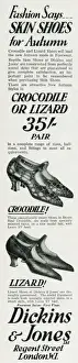 Anzeige für Schuhe von Dickins & Jones Crocodil und Igel-Frauen-Schuhe