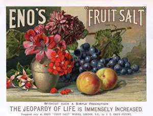 Vintage Advert Drucke: Advert / Enos Salts