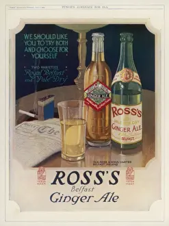 Zusammenfassung/Ingwer-Soda/Punch
