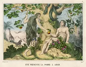 Garden Of Eden Images Drucke: Adam Accepts the Apple