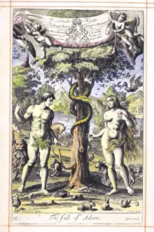 Biblical Scene Illustration Drucke: Adam and the serpent