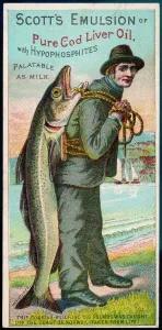 Fettfischöl