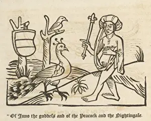 Drucke von Von der Göttin Juno und vom Pfauerchen und dem Nachtigall - Illustration zu Kaxtons Ausgabe von Apuleus' Fabeln aus dem Jahr 1484 Äsop Drucke: Aesops Fabel / Jupiter und der Pfeifer