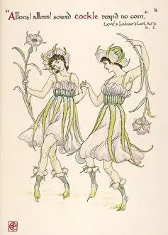 Agrostemma Gitagum