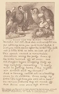 Alice und die Vögel