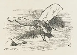 Alice In Wonderland Characters Drucke: Alice / Bread & Butter Fly