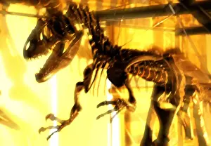 Carnivorous Dinosaurs Drucke: Allosaurus