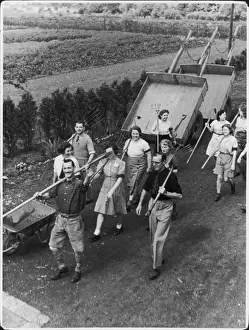 Farming During Wartime Drucke: Allotment Workers Ww2