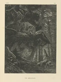 Drucke von Tafel 19 aus 'Das Leben und Verhalten wilder Tiere', illustriert mit Entwürfen von Joseph Wolf, London 1874. Datum: 1875 Verwandte Bilder Drucke: The Ambuscade